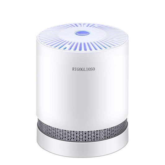 Delicate Air Purifier Night Light